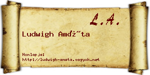 Ludwigh Amáta névjegykártya
